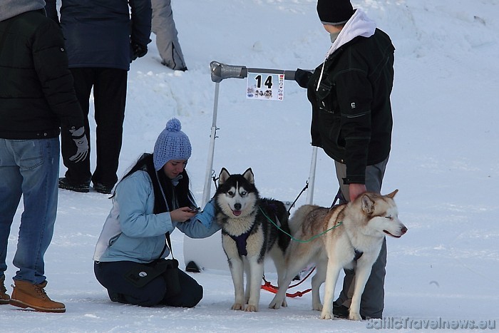 Nākamie Baltijas kausa posmi notiks Lietuvā un Igaunijā
Foto: Juris Ķilkuts/www.fotoatelje.lv 54068