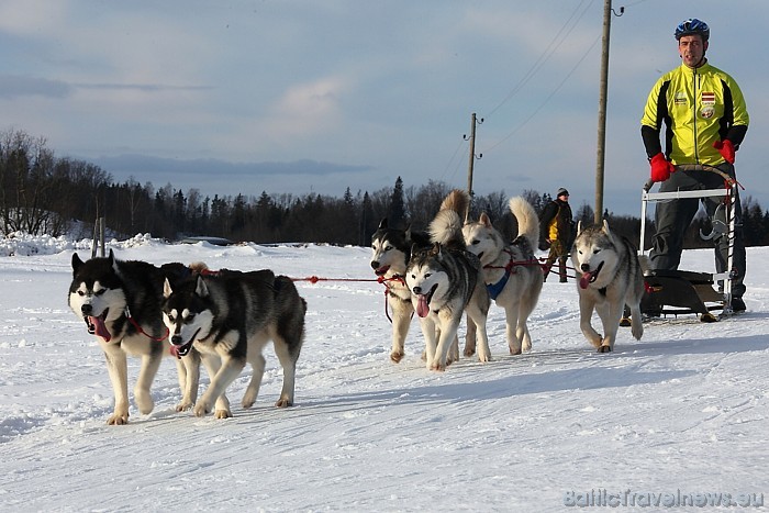 Visbiežāk cilvēki interesējas par iespēju pavizināties haskiju kamanās
Foto: Juris Ķilkuts/www.fotoatelje.lv 54075