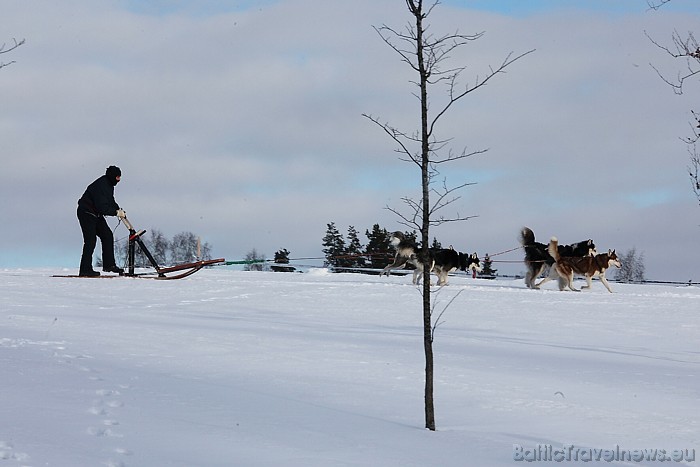 Latvijas ziemas čempionāts Kamparkalnā
Foto: Juris Ķilkuts/www.fotoatelje.lv 54078