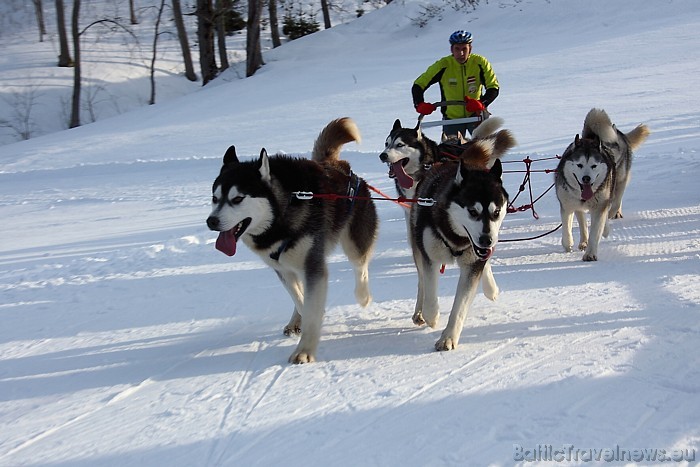 Latvijas ziemas čempionāts Kamparkalnā
Foto: Juris Ķilkuts/www.fotoatelje.lv 54082