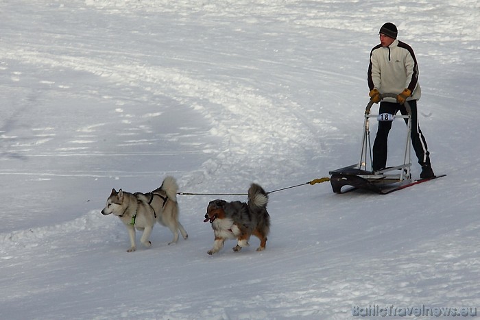 Latvijas ziemas čempionāts Kamparkalnā
Foto: Juris Ķilkuts/www.fotoatelje.lv 54084