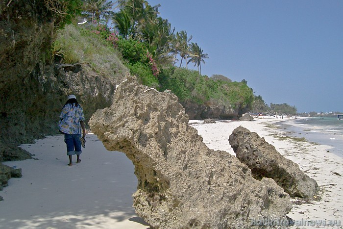 Kenijā atrodamas garas pludmales ar siltu okeāna ūdeni
Foto: Telegraf, Gaida Matisone 54319