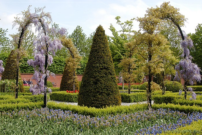 Keukenhofā apskatāmi ne tikai ziedi, bet arī vairāk nekā 2500 koku, kas pieder pie 87 dažādām sugām 
Foto: PR Keukenhof 54906