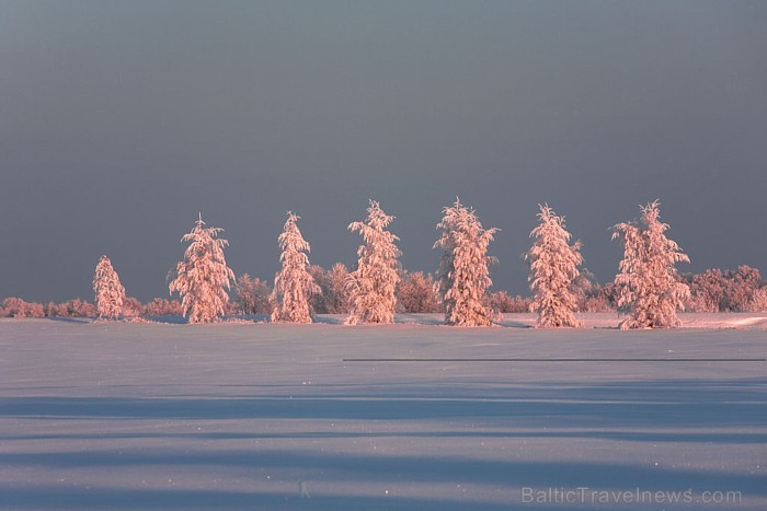 Ceļa garums pār aizsalušās Baltijas jūras ledu ir 26 kilometri, tādējādi tas ir garākais ledusceļš pasaulē
Foto: Visit Estonia/Jaak Nilson 55876