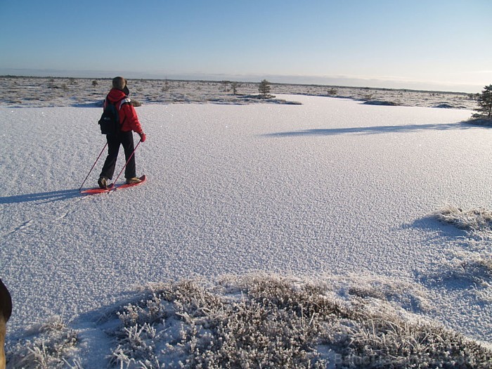 Igaunijas atbildīgās iestādes ļauj sākt lietot ledus ceļu, ja jūras ledus sega ir vismaz 25 centimetru bieza
Foto: Visit Estonia/Aivar Ruukel 55878