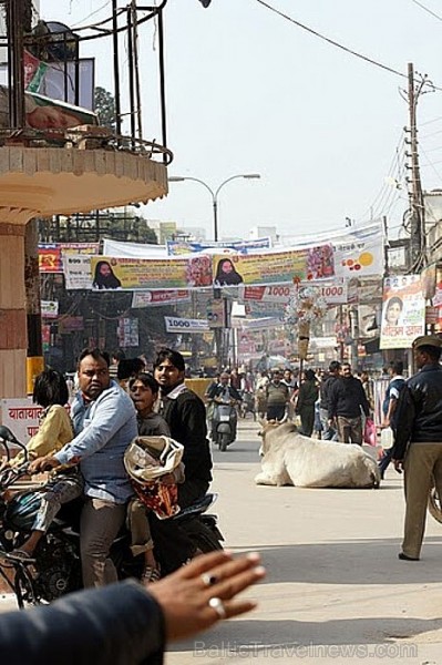 Pēcpusdienas atpūta ārkārtīgi trokšņaina krustojuma vidū. Godolijas rajons, Varanasī. Foto: Guna Bērziņa 56983