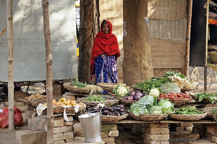 Vietējie bieži pērk dārzeņus pusdienām no labi zināmiem lauksaimnieku tirgotājiem uz ielas. Lielražotāju L/s ķimizācija Indijā esot ļoti liela.. Varan 57064