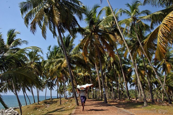 Pastaigu un vietējo iedzīvotāju taciņas kokospalmu biržu ainavā. Foto: Guna Bērziņa 57184