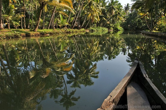 Kluss un ļoti zaļš izbrauciens ar kanoe laivu pa mazajām Kollam Backwaters upēm un kanāliem, vietējo sadzīvi vērojot. Foto: Guna Bērziņa 57202
