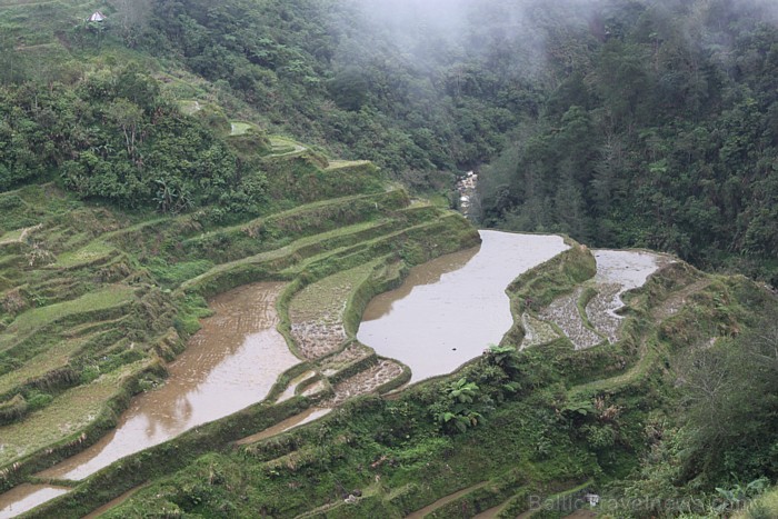 Banaue -2000gadu seni rīsu lauki
Foto: Irīna Klapere, Relaks Tūre 57986