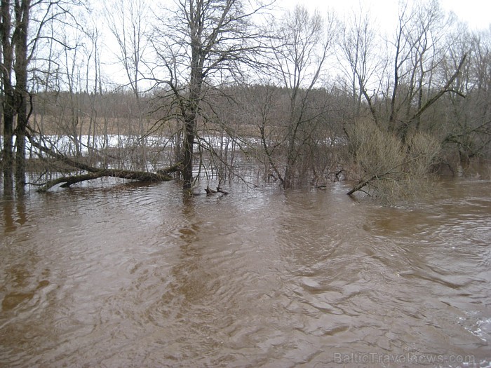 Mazā Jugla pie Tīnūžiem, 08.04.2011 58010