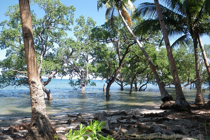 Filipīniešu vidū salai ir noslēpumainības un mistikas aura. Siguijori sala
Foto: Irīna Klapere, Relaks Tūres gids 58171
