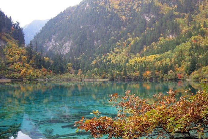 Jiuzhaigou upe atrodas Ķīnā. Tā apbur cilvēkus ar krāsaino apkārtni un dzidro ūdeni
 Foto: Terre.sans.frontiere.free.fr 58450