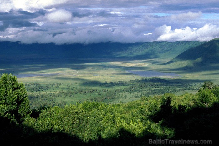 Ngorongoro krāteris ir milzīgs krāteris Serengeti parka nomalē Tanzānijā
Foto: Terre.sans.frontiere.free.fr 58457