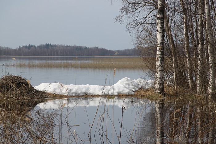 Lielā Piektdiena Latgalē - sniegs Sivera ezera krastā 58490