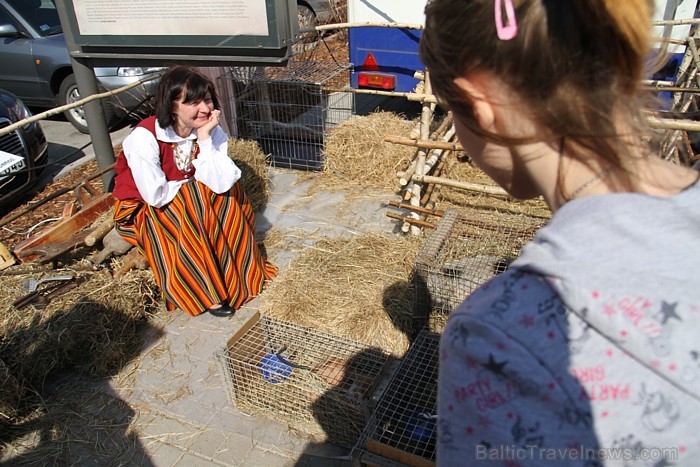 Tirdzņā pilsētnieki tiek aicināti pieteikties zemnieku saimniecībās, iepazīt lauku dzīves romantiku un pastrādāt laukos par vēdera tiesu
Foto: Kaspar 58736