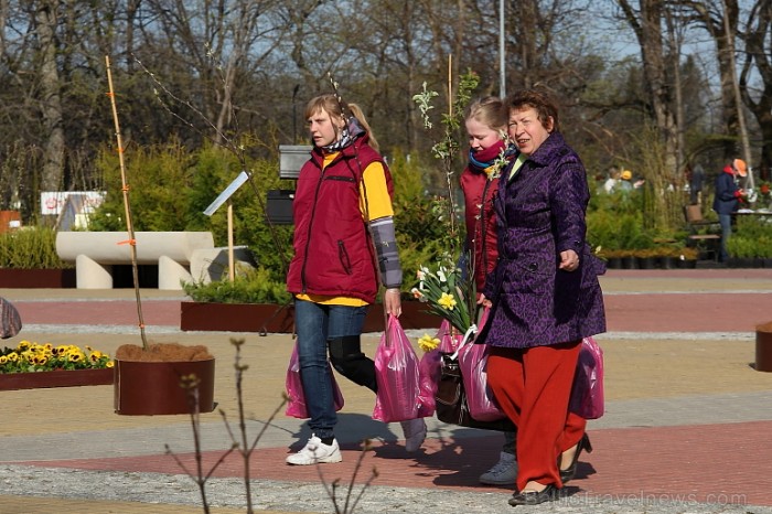 Latvijas Stādu parāde ir īpaša ar to, ka šajā pasākumā piedalās praktiski visi Latvijas stādu audzētāji
Foto: Juris Kilkuts, Fotoatelje.lv 58950