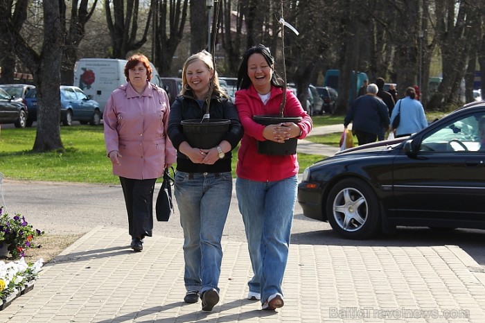 Katrs bērna iestādītais koks ir viņa pavadonis nākotnē, tas dod iespēju bērnam augt kopā ar sevis stādīto koku, lai pēc gadiem katram no mums būtu acī 58956