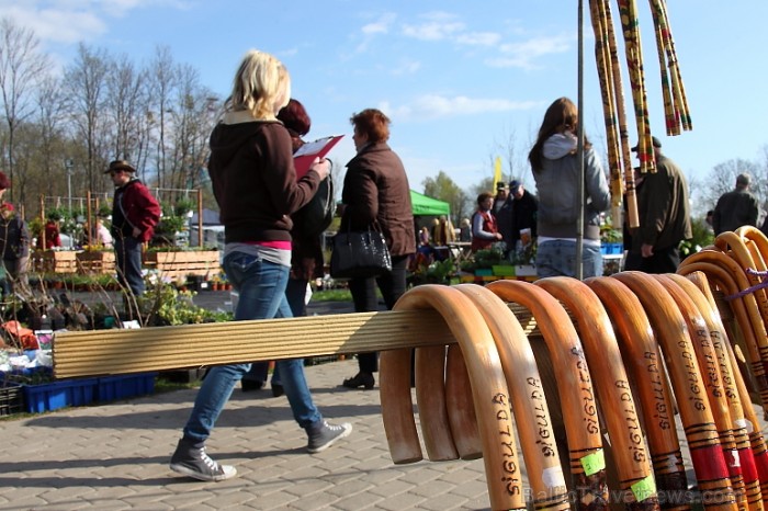 Latvijas Stādu parāde 2011 notika Siguldā, Svētku laukumā pie panorāmas riteņa. Papildus informācija: www.staduparade.lv
Foto: Juris Kilkuts 58974