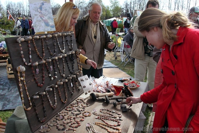 Latvijas Stādu parāde 2011 notika Siguldā, Svētku laukumā pie panorāmas riteņa. Papildus informācija: www.staduparade.lv
Foto: Juris Kilkuts 58975