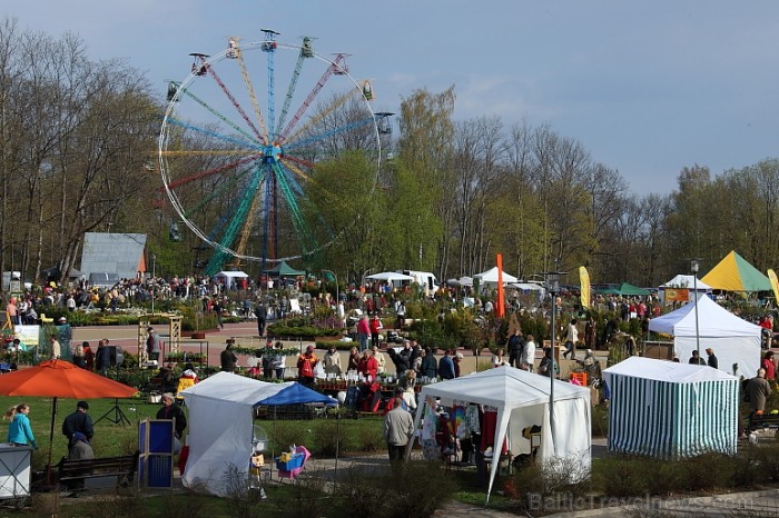 Latvijas Stādu parāde 2011 notika Siguldā, Svētku laukumā pie panorāmas riteņa. Papildus informācija: www.staduparade.lv
Foto: Juris Kilkuts 58997