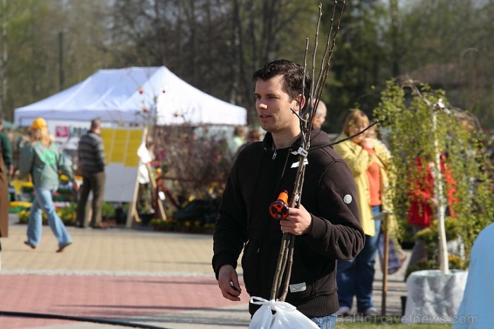 Latvijas Stādu parāde 2011 notika Siguldā, Svētku laukumā pie panorāmas riteņa. Papildus informācija: www.staduparade.lv
Foto: Juris Kilkuts 59001