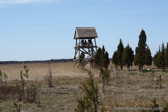 Kaņiera ezera putnu vērošanas tornis , ir viens no labākajiem putnu vērošanas vietām Latvijā.
Foto: Līga Jaunozola 59542