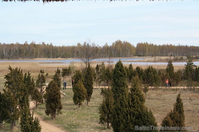 Ķaniera ezera putnu vērošanas tornī ir satopama lielākā jūras ērgļu kopiena Latvijā.
Foto: Līga Jaunozola 59545