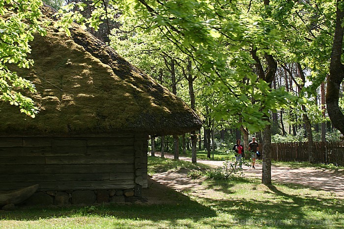 Latvijas etnogrāfiskais brīvdabas muzejs 60537