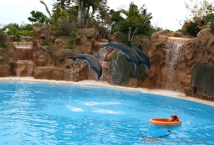 Daudzi tūristi izvēlas Loro parku, lai nosvinētu bērna dzimšanas dienu. Loro parks piedāvā unikālu iespēju gaviļniekam izvizināties laivā delfīnu pava 63495