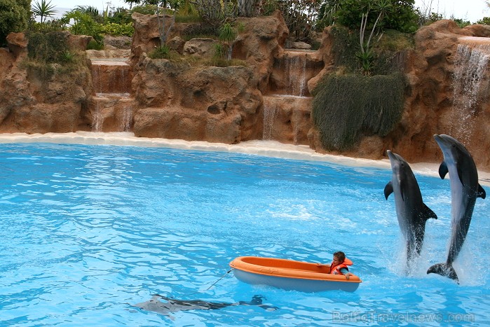 Daudzi tūristi izvēlas Loro parku, lai nosvinētu bērna dzimšanas dienu. Loro parks piedāvā unikālu iespēju gaviļniekam izvizināties laivā delfīnu pava 63496