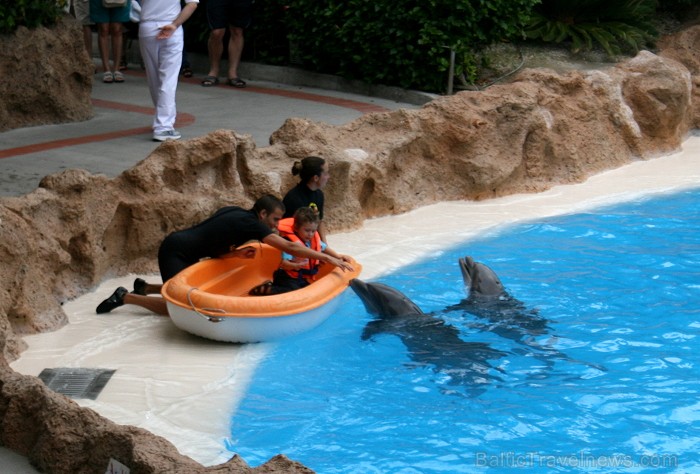 Daudzi tūristi izvēlas Loro parku, lai nosvinētu bērna dzimšanas dienu. Loro parks piedāvā unikālu iespēju gaviļniekam izvizināties laivā delfīnu pava 63497