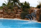 Loro parkā katru dienu notiek vairāki šovi un viens no apmeklētākajiem ir delfīnu šovs 2