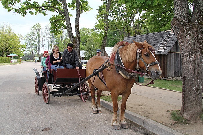 Baltijas valstīs vienīgais un pasaule viens no četriem Zirga muzejiem atrodas Lietuvā, un atspoguļo Lietuvas zirgkopības vēsturi 64193