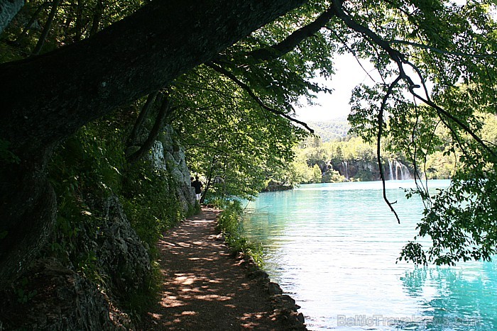 Plitvice ezeru teritorija ir paradīze pastaigu un pārgājienu cienītājiem, kā arī dabas mīļotājiem 64660