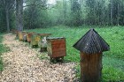 Drošsirdīgākie var arī tuvuma aplūkot īstu bišu stropu, taču drošībai noteikti iepriekš ir jāuzvelk īpašais aizsargtērps 14