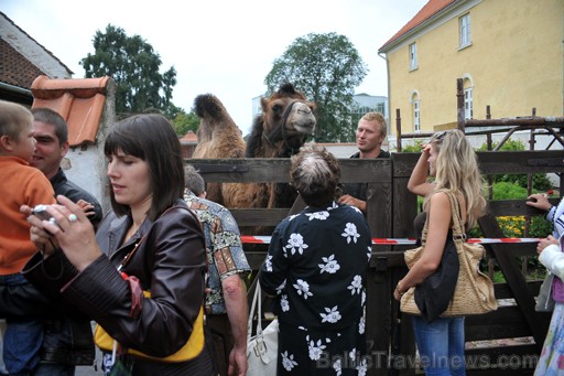 Ventspils pilsētas svētku ietvaros notika pasākums Livonijas ordeņa pilī - Pūcespieģelības pilī 65476