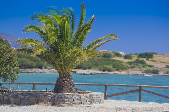 Pludmale un palma Agios Nikolaos pievārtē. Foto: www.fotoprojekts.lv 66655