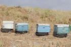 Tipiski grieķu bišu stropi, vismaz divreiz mazāki par mums pierastajiem. Foto: www.fotoprojekts.lv 52