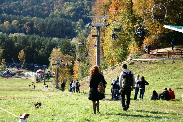 Kad Siguldā nokrāsojas pirmās koku lapas, gan vietējie, gan ārzemju ceļotāji trauc apbrīnot Zelta Rudeni. www.sigulda.lv 67593