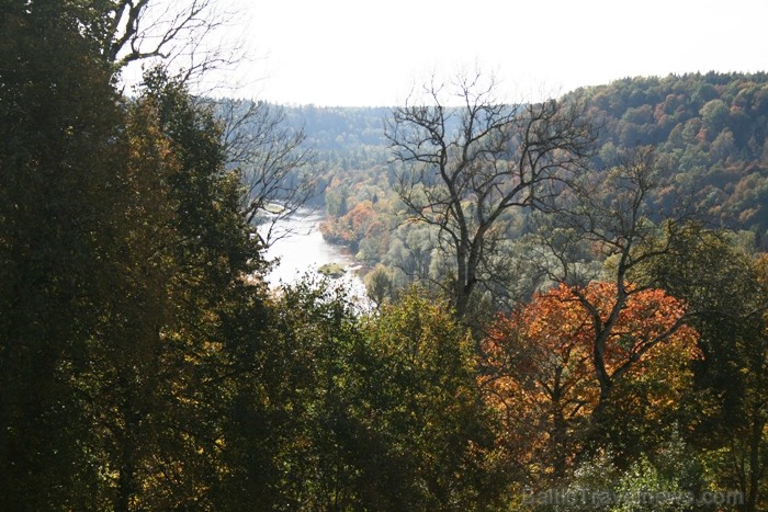 Kad Siguldā nokrāsojas pirmās koku lapas, gan vietējie, gan ārzemju ceļotāji trauc apbrīnot Zelta Rudeni. www.sigulda.lv 67600