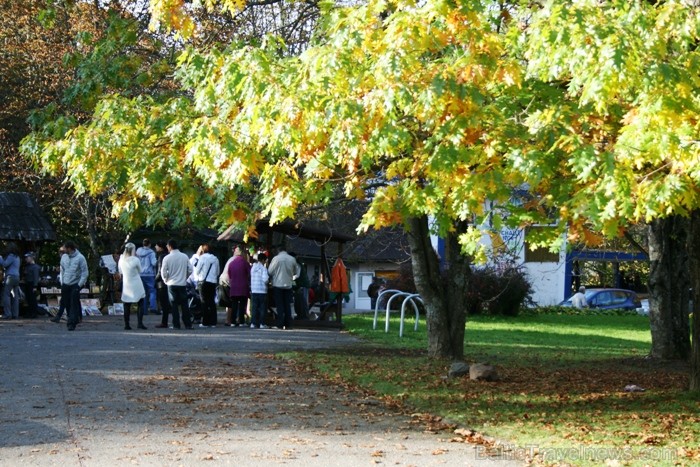 Kad Siguldā nokrāsojas pirmās koku lapas, gan vietējie, gan ārzemju ceļotāji trauc apbrīnot Zelta Rudeni. www.sigulda.lv 67613