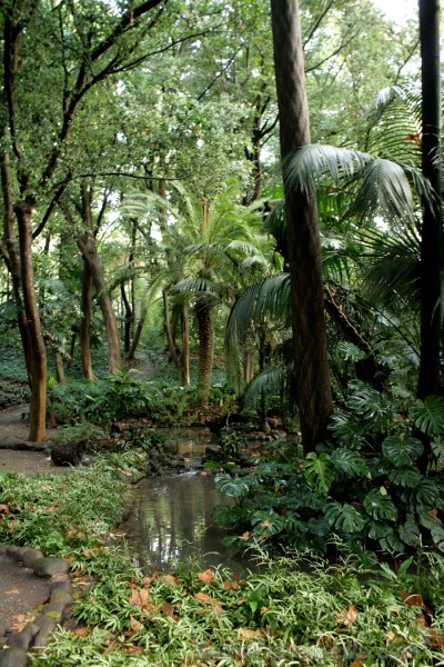 Botāniskais dārzs ir īpaši skaits pavasara un vasaras laikā, bet arī rudenī tas sagaida apmeklētājus ar brīnišķīgiem dabas skatiem www.andalucia.org 68806