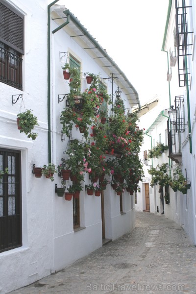Romantiskākā Priego de Cordoba vieta ir tā vecpilsēta ar šaurām ieliņām, baltām mājām un lielu puķu podu skaitu 68989