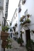 Romantiskākā Priego de Cordoba vieta ir tā vecpilsēta ar šaurām ieliņām, baltām mājām un lielu puķu podu skaitu 26