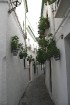 Romantiskākā Priego de Cordoba vieta ir tā vecpilsēta ar šaurām ieliņām, baltām mājām un lielu puķu podu skaitu 32