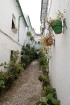 Romantiskākā Priego de Cordoba vieta ir tā vecpilsēta ar šaurām ieliņām, baltām mājām un lielu puķu podu skaitu 33