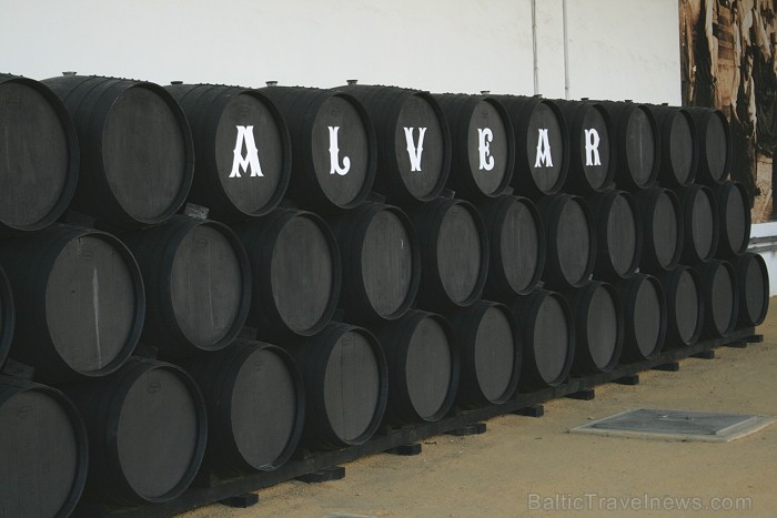 Viena no Andalūzijas pilsētām, Montiljā (Montilla), atrodas vīnu darītava ar nosaukumu Alvear 69058