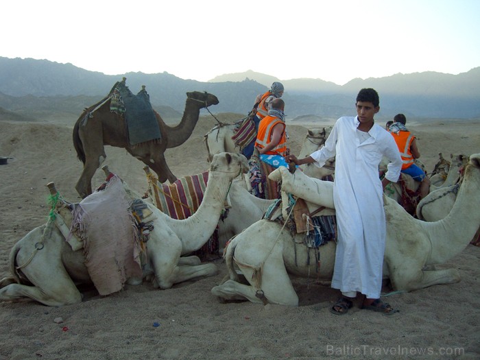 Par fotografēšanos pie kamieļa ir jāmaksā, to rūpīgi uzrauga šis saimnieks baltajā halātā - www.novatours.lv 69438