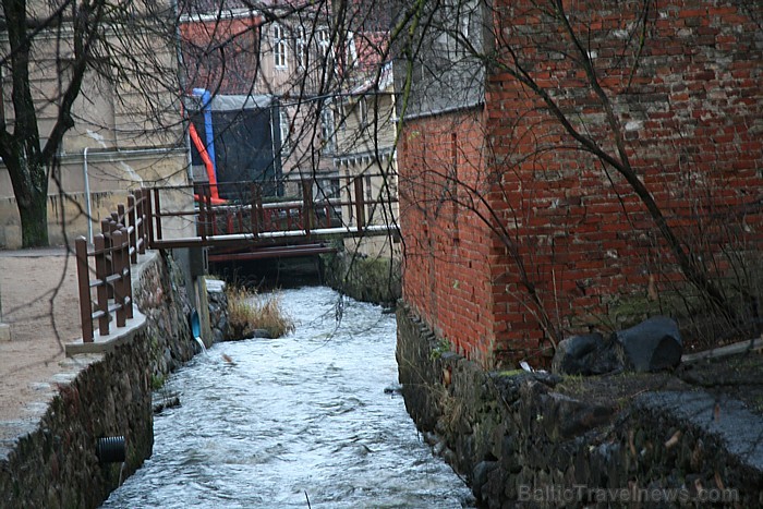 Kuldīgā 3.12.2011 tiek iedegta Ziemassvētku egle 69933